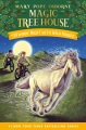 Windy night with wild horses Book Cover