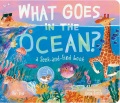 What goes in the ocean? : a seek-and-find book Book Cover