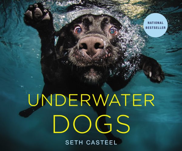 Underwater dogs /