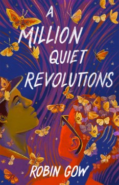Catalog record for A million quiet revolutions
