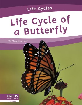 Catalog record for Life cycle of a butterfly