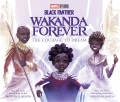 Black Panther : Wakanda forever : the courage to dream Book Cover