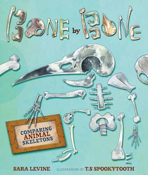Bone by Bone book cover