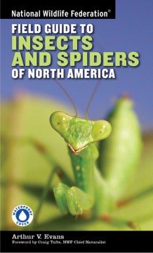 Cover image for National Wildlife Federation field guide to insects and spiders & related species of North America