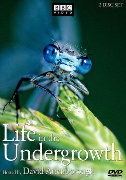 Cover image for Life in the undergrowth