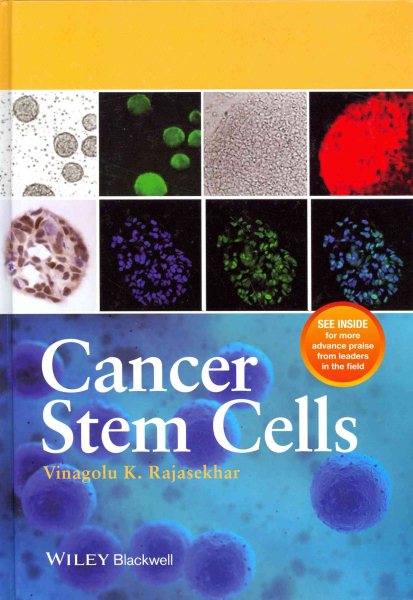 Cancer stem cells /