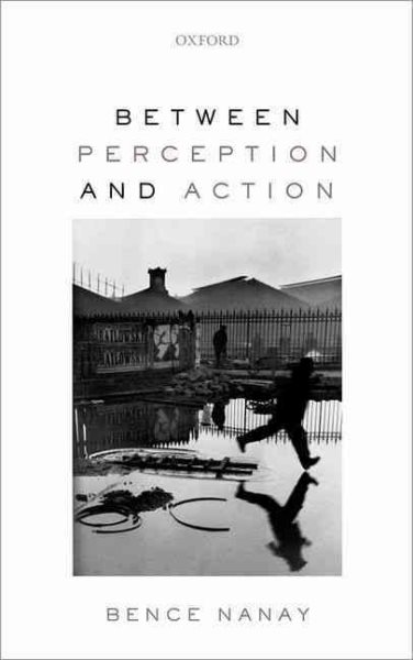 Between perception and action