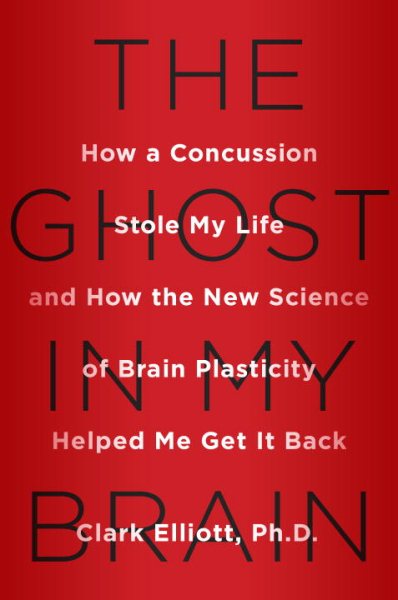 The ghost in my brain : how a concussion stole my life and how the new science of brain plasticity helped me get it back