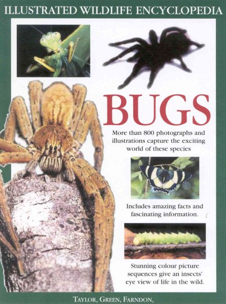 The big bug book  : discover the amazing world of beetles, bugs, butterflies, moths, insects and spiders