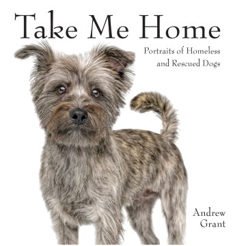 Take Me Home: Portraits Of Homeless And Rescued Dogs