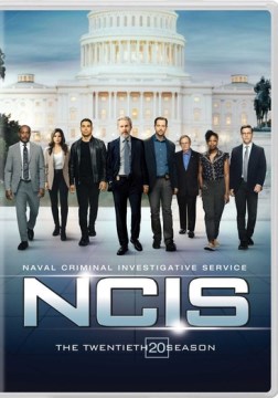 NCIS, Naval Criminal Investigative Service