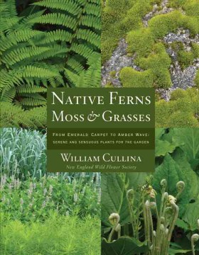 Native Ferns, Moss &amp; Grasses