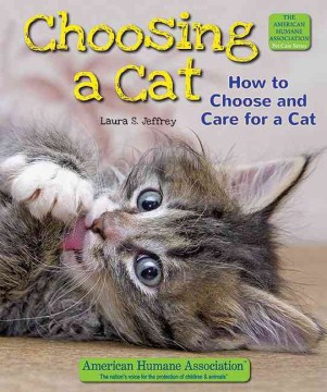 Choosing A Cat