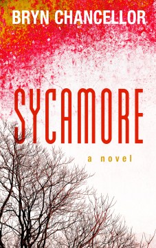 Sycamore