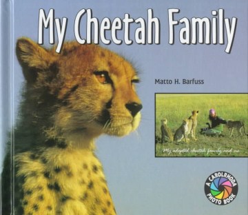 My Cheetah Family