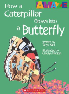 How A Caterpillar Grows Into A Butterfly