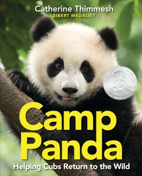 Camp Panda