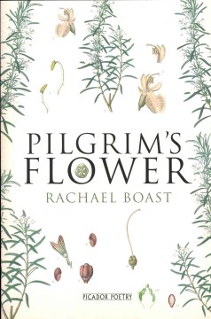 Pilgrim's Flower