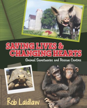 Animal Sanctuaries and Rescue Centers: Saving Lives & Changing Hearts
