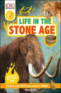 Life in the Stone Age