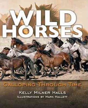 Wild Horses