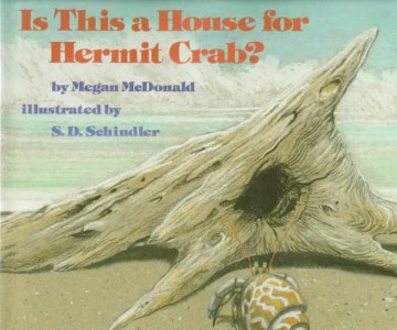 Is This A House for Hermit Crab?
