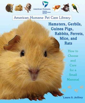 Hamsters, Gerbils, Guinea Pigs, Rabbits, Ferrets, Mice, and Rats