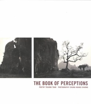 The Book of Perceptions