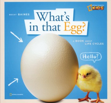 What's in That Egg?