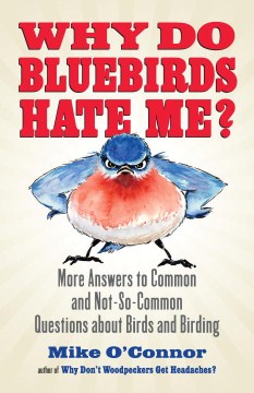 Why Do Bluebirds Hate Me?