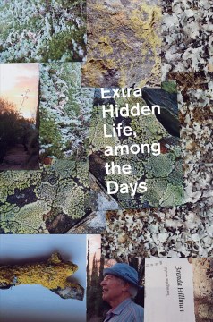 Extra Hidden Life, Among the Days
