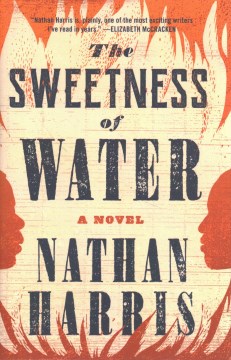 Title - The Sweetness of Water
