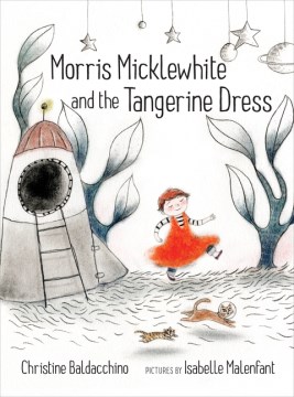 Title - Morris Micklewhite and the Tangerine Dress