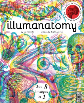 Title - Illumanatomy