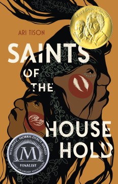 Saints of the Household, book cover