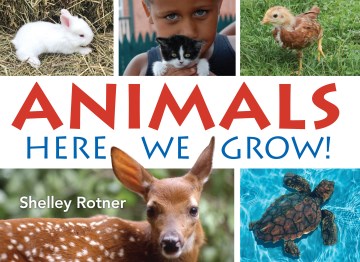 Animals Here We Grow!