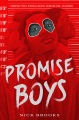 Promise Boys, book cover