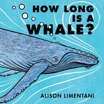 How Long Is A Whale?
