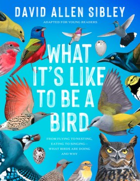 What It's Like to Be A Bird: Adapted for Young Readers
