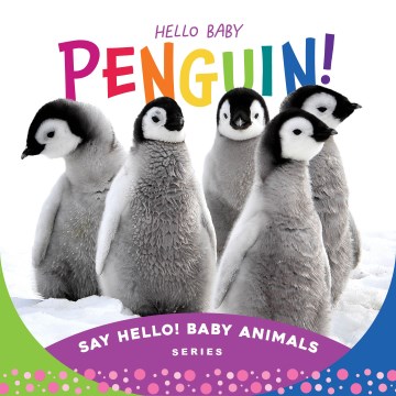 Hello Baby Penguin!