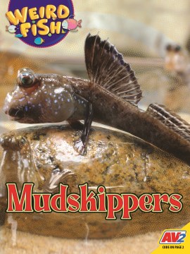 Mudskippers
