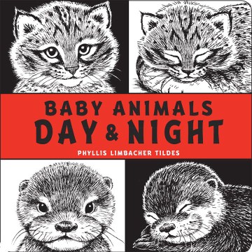 Baby Animals Day &amp; Night