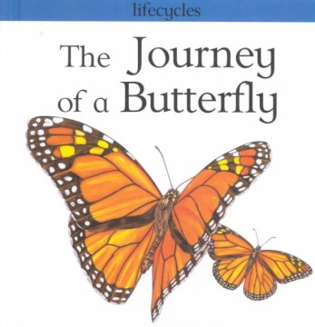 The Journey of A Butterfly