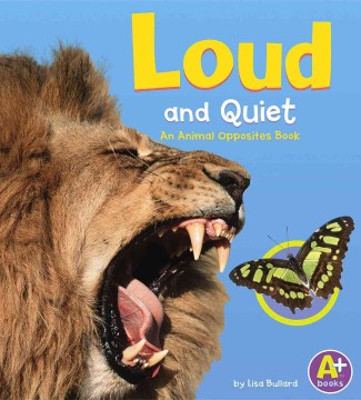 Loud and Quiet