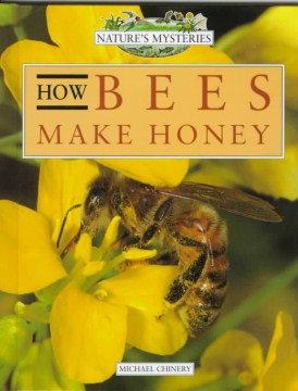 How Bees Make Honey