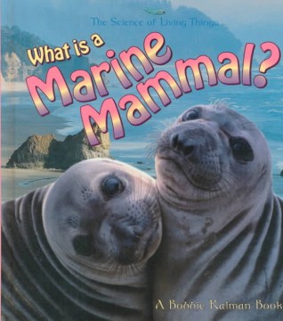 What Is A Marine Mammal?