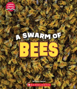 A Swarm of Bees