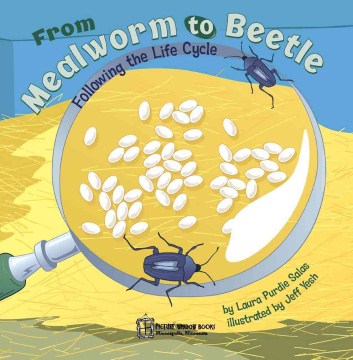 From Mealworm to Beetle