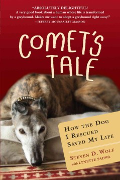 Comet's Tale