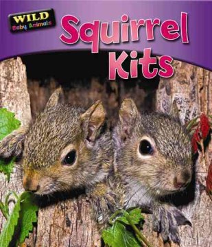 Squirrel Kits